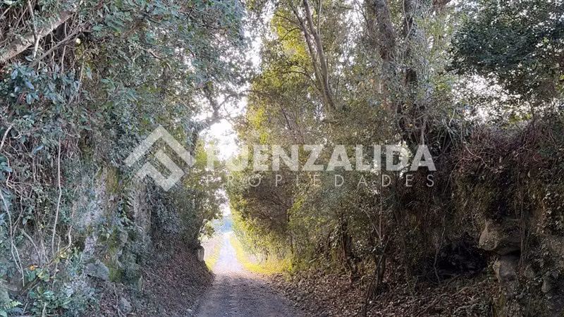 Parcela en venta en Sector Los Riscos Puerto Varas