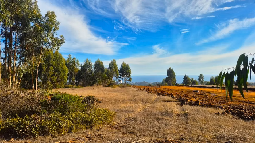 TERRENOS VISTA AL MAR MIRASOL | ALGARROBO