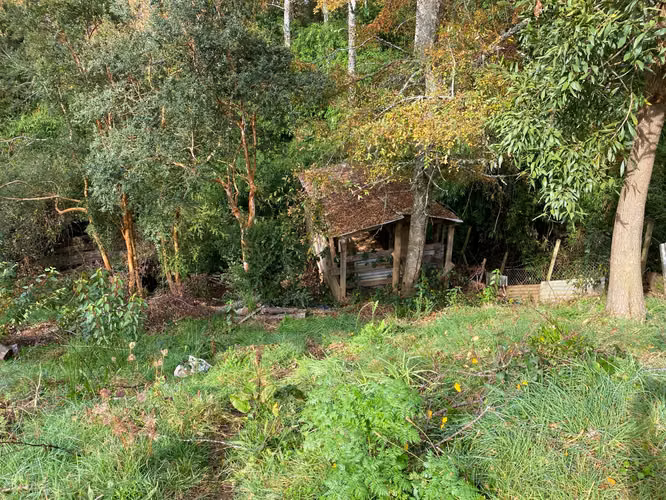 Venta de Parcela con Casa en Pufudi a 30 min de Valdivia - Imagen 5