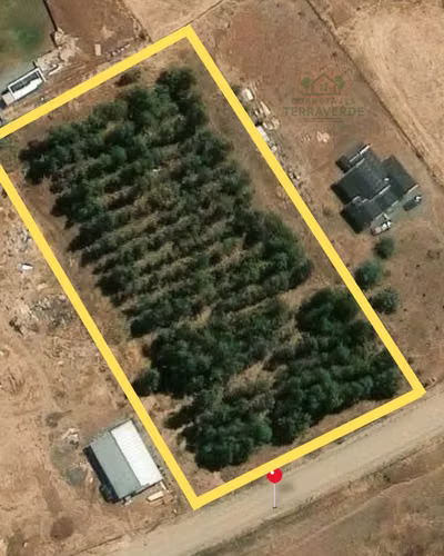 Terreno Amplio para Inversión Segura (168555)
