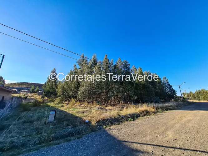 Terreno Amplio para Inversión Segura (168555) - Imagen 13