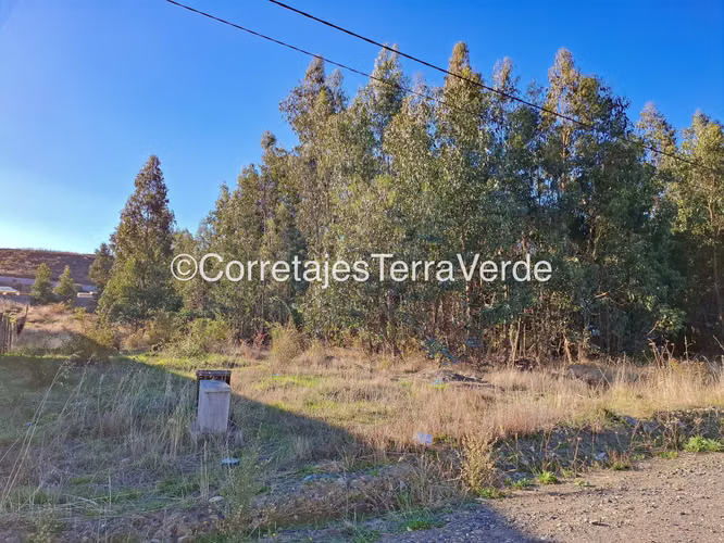 Terreno Amplio para Inversión Segura (168555) - Imagen 15