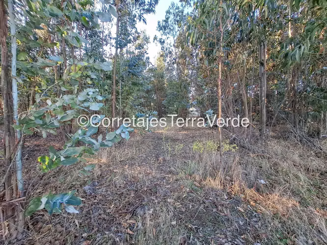 Terreno Amplio para Inversión Segura (168555) - Imagen 8
