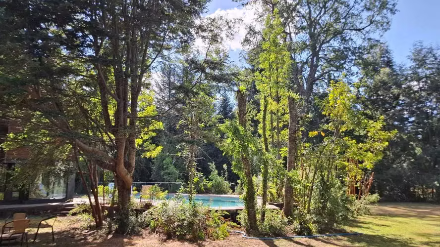 Casa en Parcela. Molco Alto, Villarrica. (168618) - Imagen 6