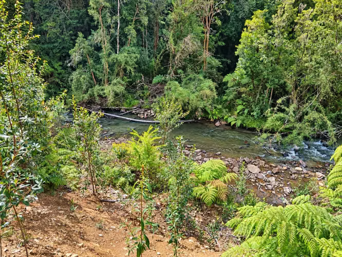 Parcela con río y bosque nativo (168609) - Imagen 7