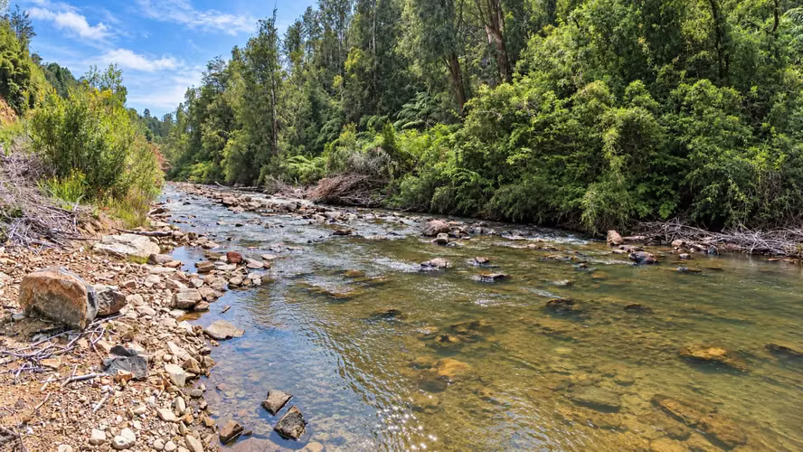 Parcela con río y bosque nativo (168609) - Imagen 5