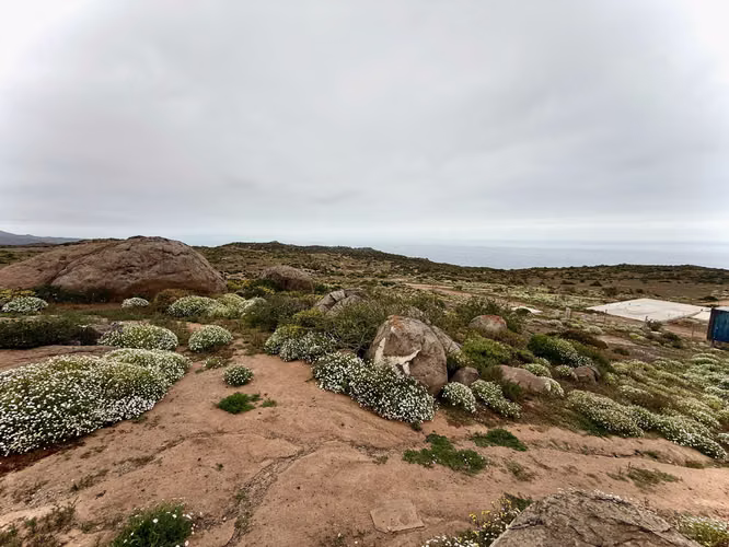 VENDO Parcela con Vista al Mar en El Arrayan (168600)