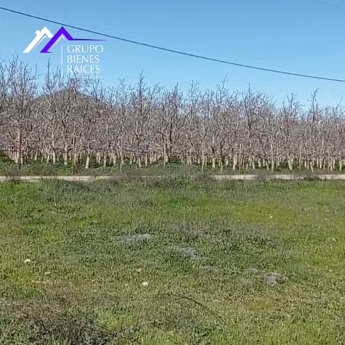 Ultimos terrenos en Talagante (168598)