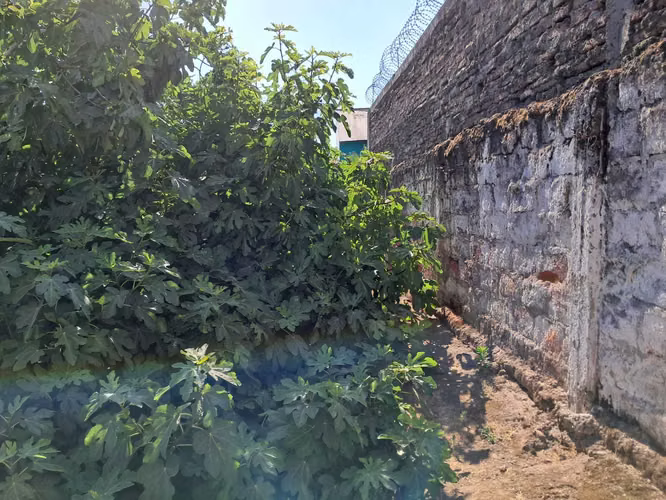 VENTA TERRENO-SITIO 429 MTS LA FLORIDA (168595)