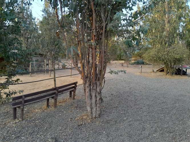 PARCELA CON CASA EN FORESTA DE ZAPALLAR 3D/3B , SI