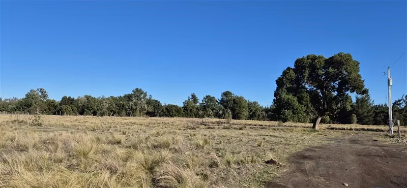 Parcelas en venta orilla Río Toltén