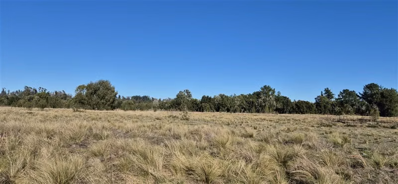 Parcelas en venta orilla Río Toltén