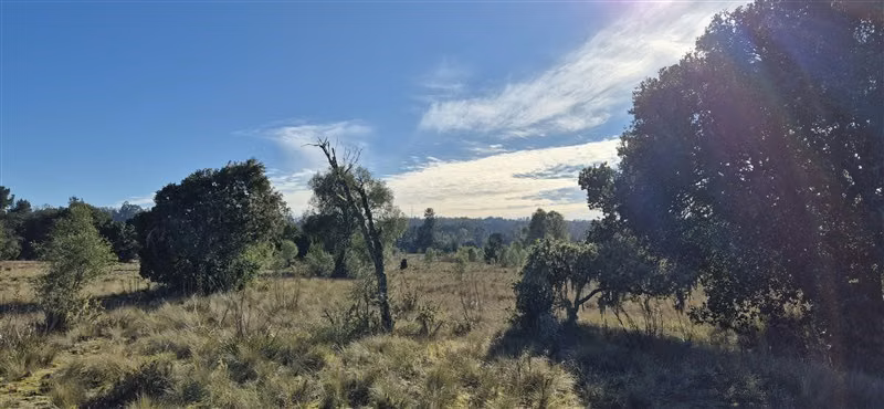 Parcelas en venta orilla Río Toltén