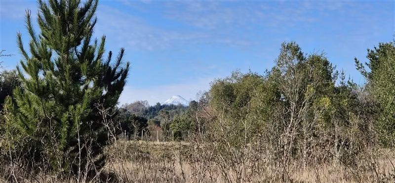 Parcelas en venta orilla Río Toltén