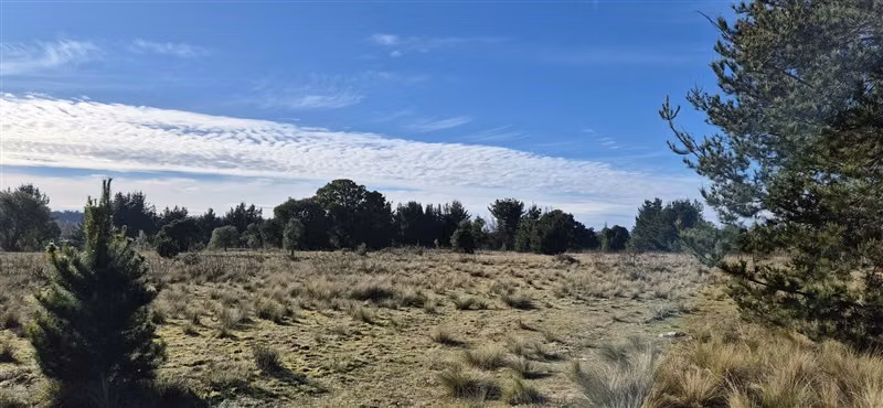 Parcelas en venta orilla Río Toltén
