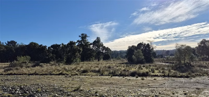 Parcelas en venta orilla Río Toltén