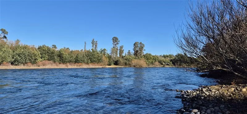 Parcelas en venta orilla Río Toltén