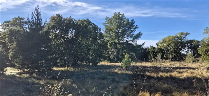Parcelas en venta orilla Río Toltén