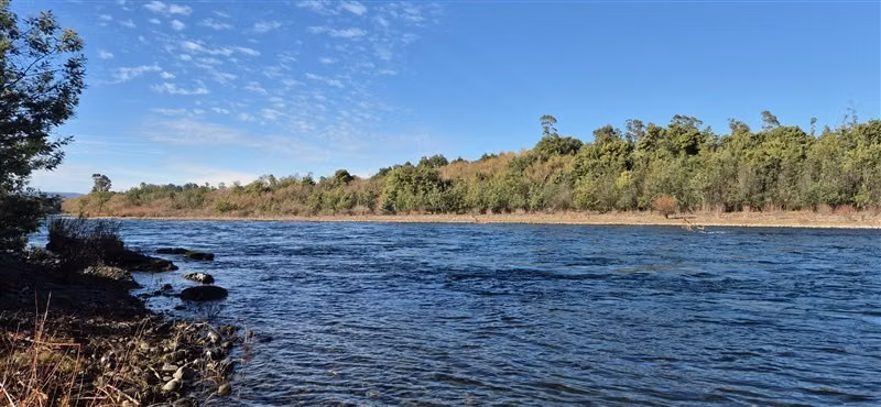Parcelas en venta orilla Río Toltén