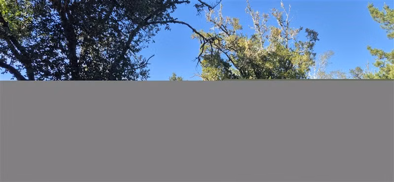 Parcelas en venta orilla Río Toltén
