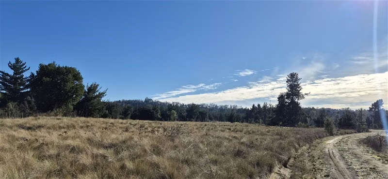 Parcelas en venta orilla Río Toltén