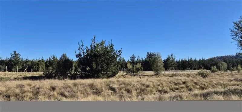 Parcelas en venta orilla Río Toltén