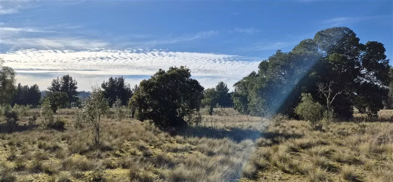 Parcelas en venta orilla Río Toltén