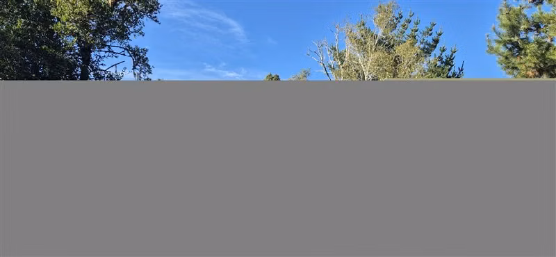 Parcelas en venta orilla Río Toltén