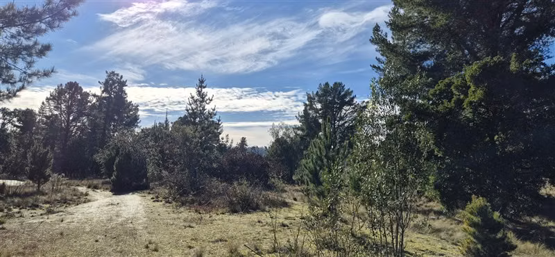 Parcelas en venta orilla Río Toltén