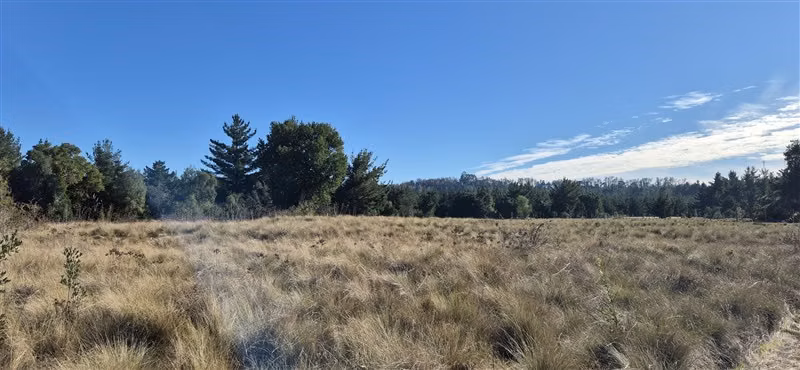 Parcelas en venta orilla Río Toltén