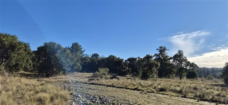 Parcelas en venta orilla Río Toltén