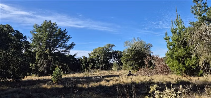 Parcelas en venta orilla Río Toltén
