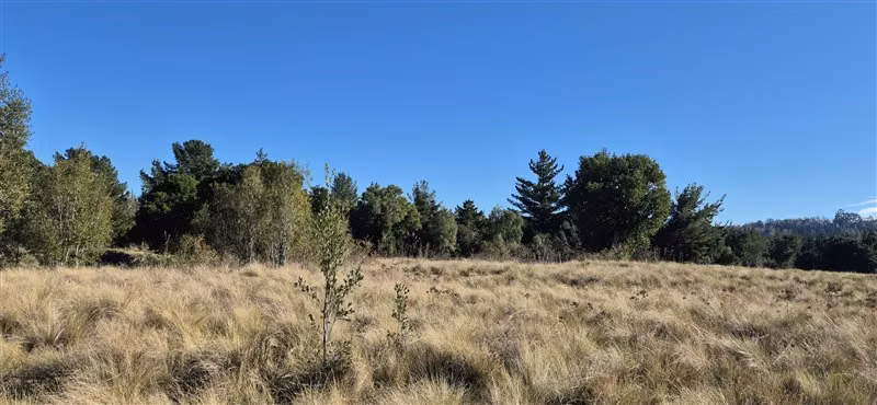 Parcelas en venta orilla Río Toltén