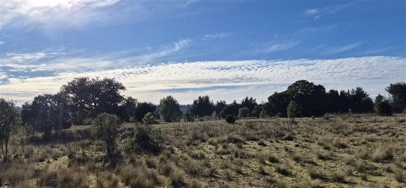 Parcelas en venta orilla Río Toltén