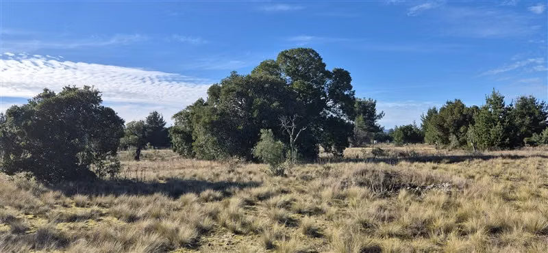 Parcelas en venta orilla Río Toltén