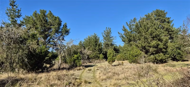 Parcelas en venta orilla Río Toltén