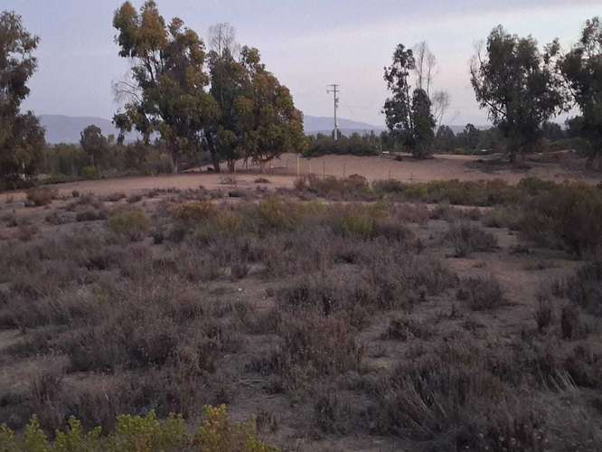Oportunidad de Inversión en Terreno Amplio (168679)