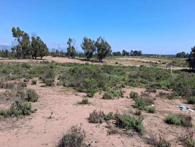 Oportunidad de Inversión en Terreno Amplio (168679)