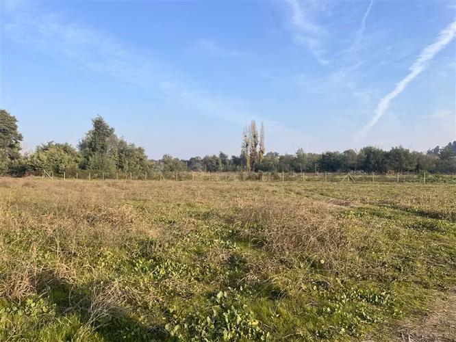 SE VENDE PARCELA EN LOS GOMEROS, PELARCO