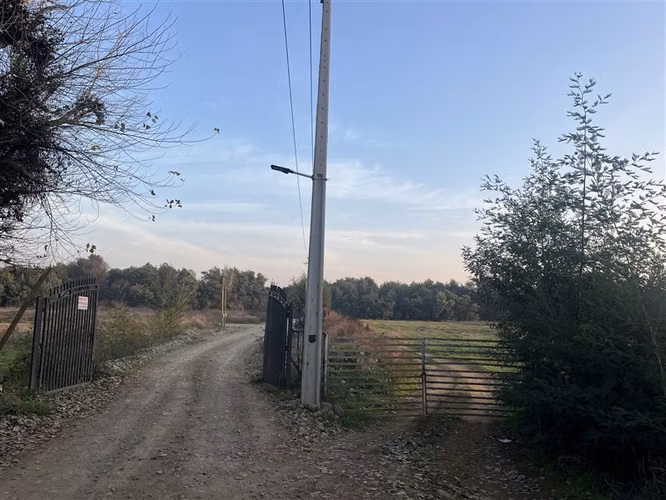 SE VENDE PARCELA EN LOS GOMEROS, PELARCO