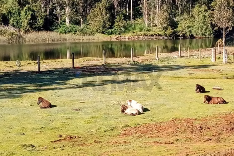 Casa de campo con terreno