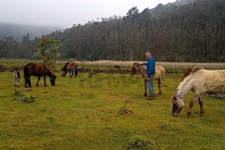 Casa de campo con terreno