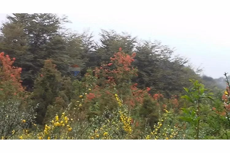 Casa de campo con terreno