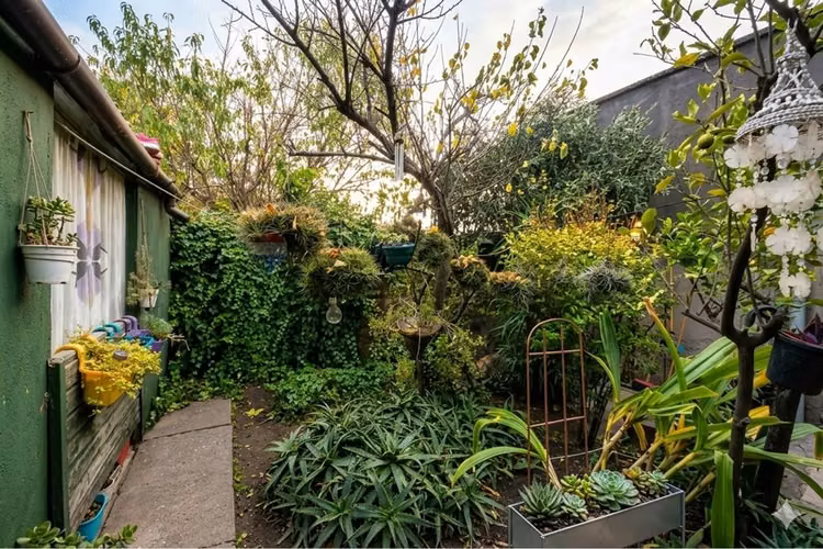 "vendo casa en san miguel, 3d/1b + local"