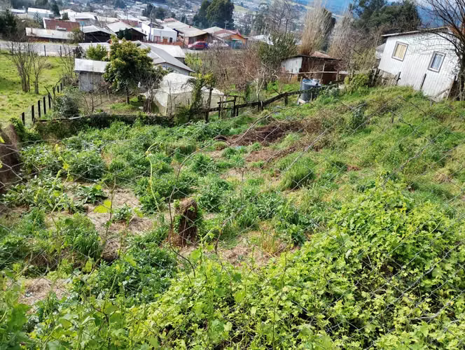 Vendo sitio de 430m2 vista al volcán (168851) - Imagen 11