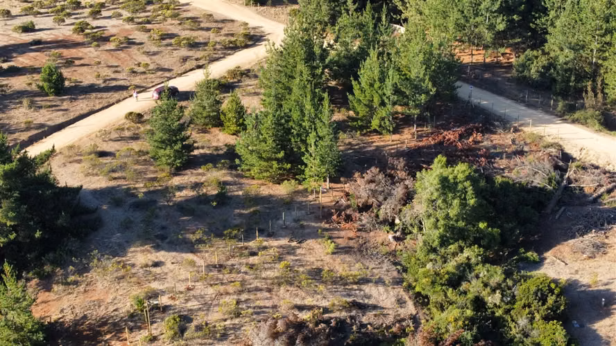PARCELA Alto Pichilemu