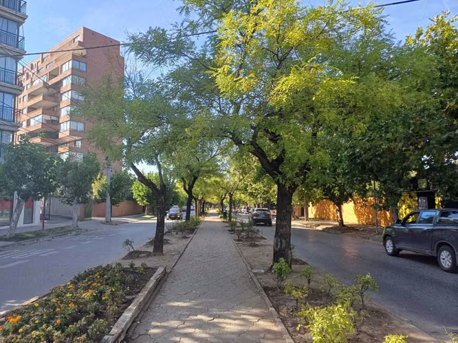 Departamento en venta en Paseo Diagonal (168939)