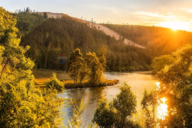 Terreno en valdivia: naturaleza y comodidad