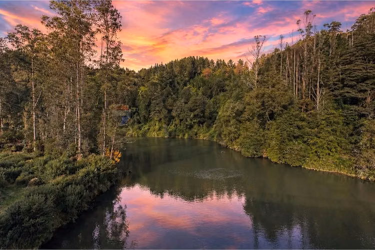 Terreno de ensueño en venta en valdivia, los ríos
