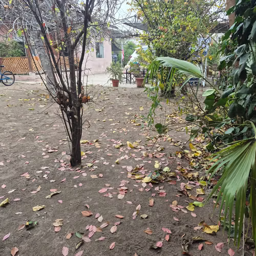 Amplio Terreno Urbano Ideal para Proyectos (168882)